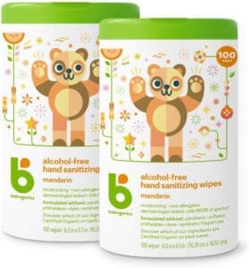 Babyganics Alcohol-Free Hand Sanitizing Wipes - Toddler Toys Babyganics Alcohol-Free Hand Sanitizing Wipes