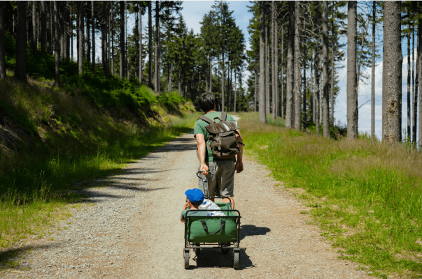 stroller wagons for kids