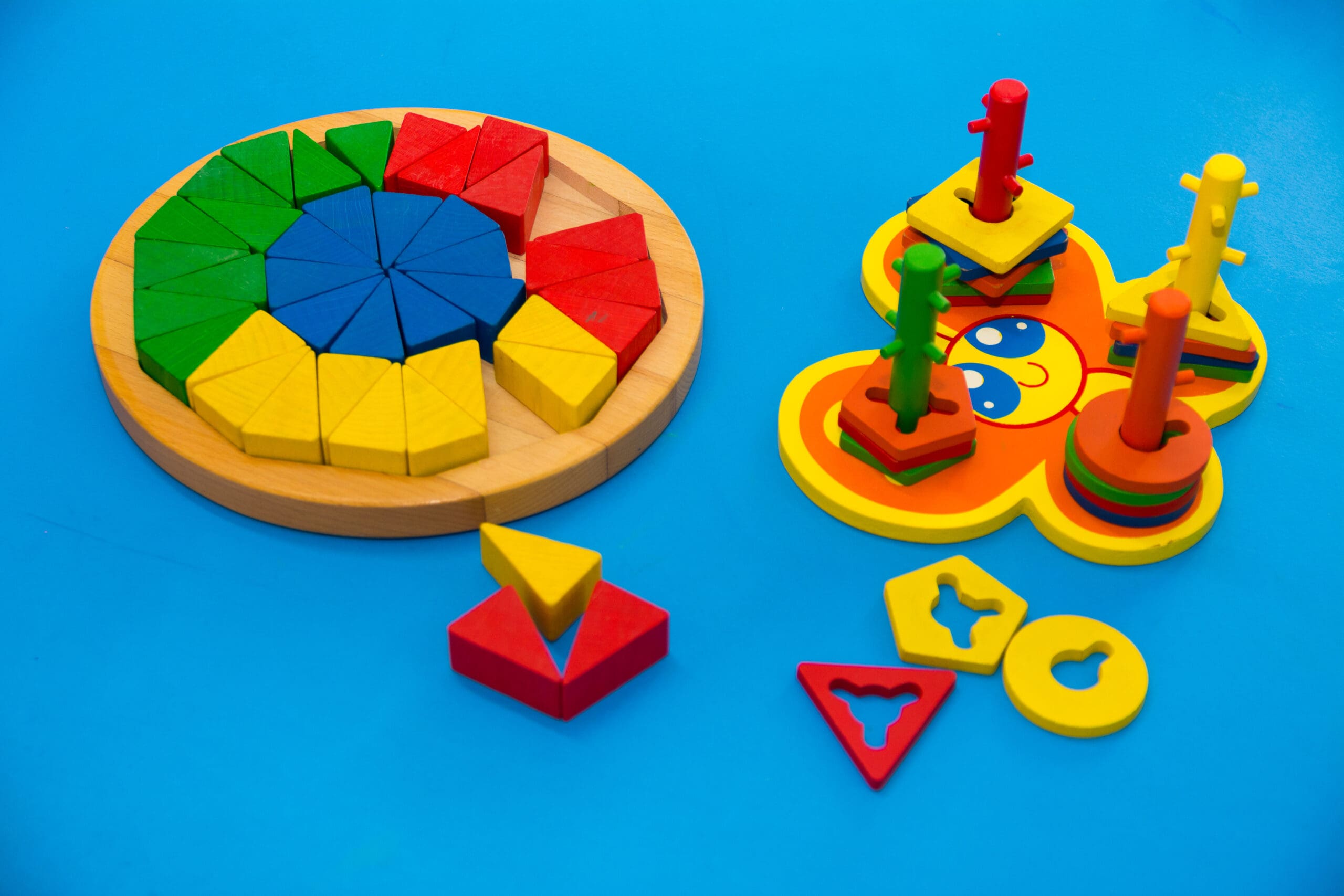 Montessori Shape Sorting Toys